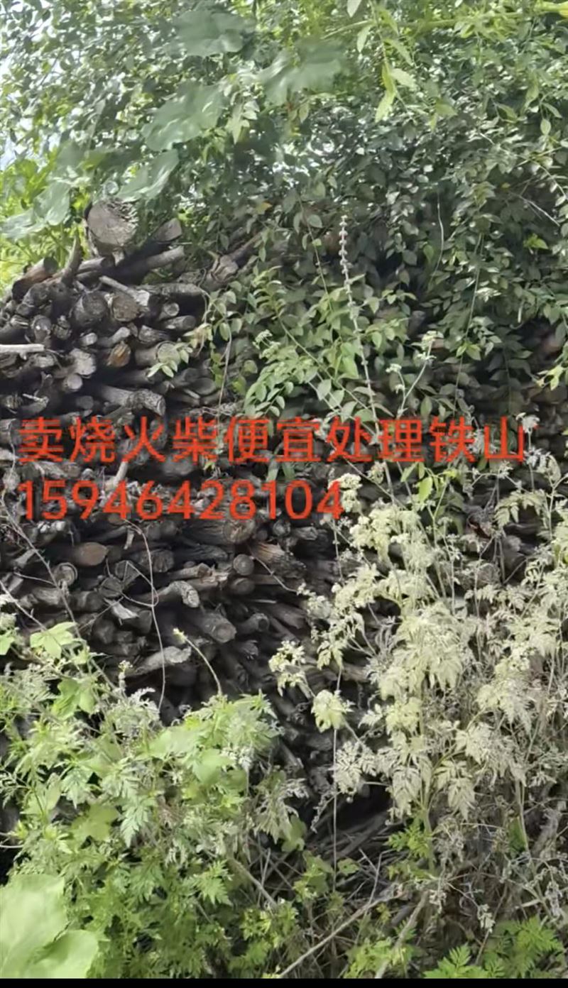 卖烧火柴和煤泥