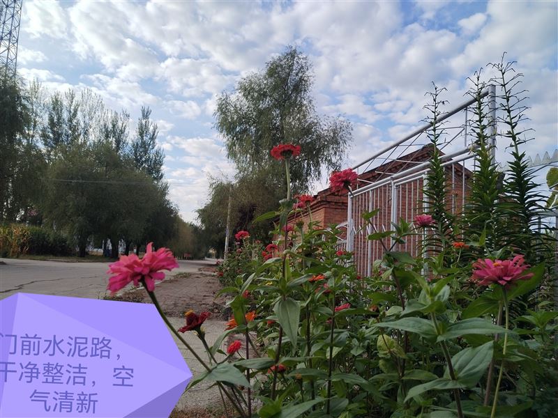 低价卖平房