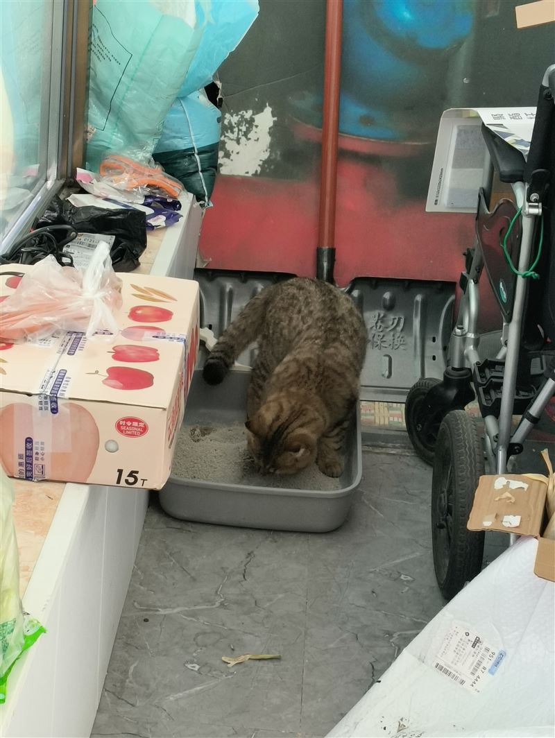 vr游戏馆转让
