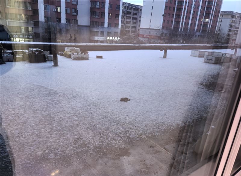 九中九小学区房 银达高层精装修